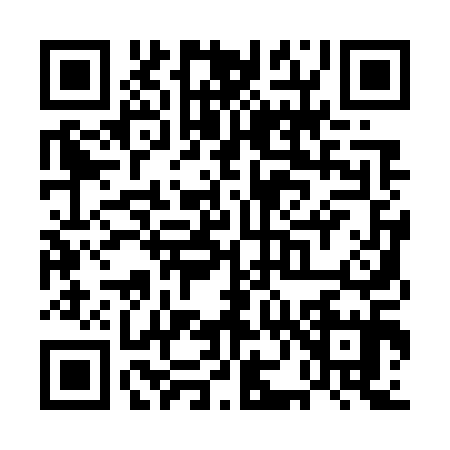 QR code for UN17155