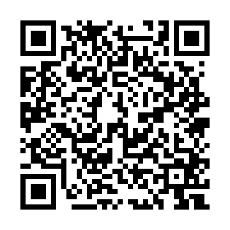 QR code for UN17446