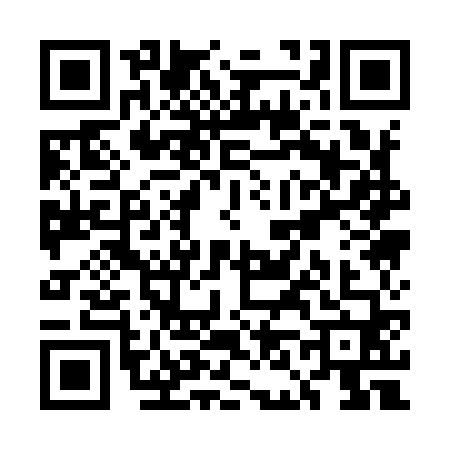 QR code for UN19603