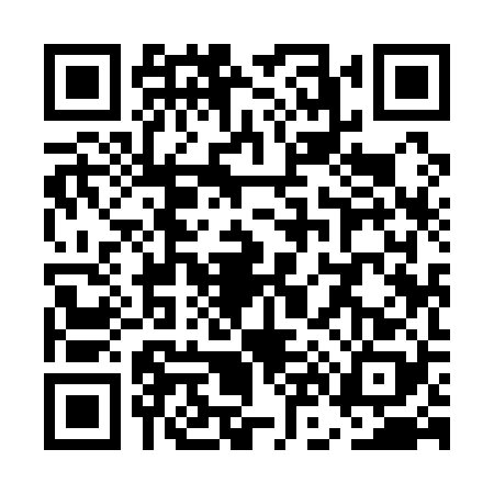 QR code for UN91287
