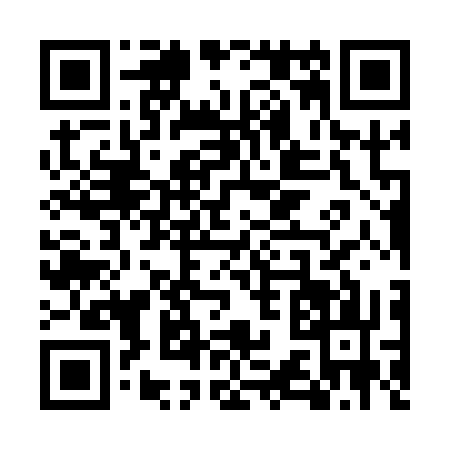 QR code for US51334