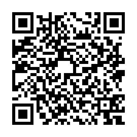 QR code for UZ91313