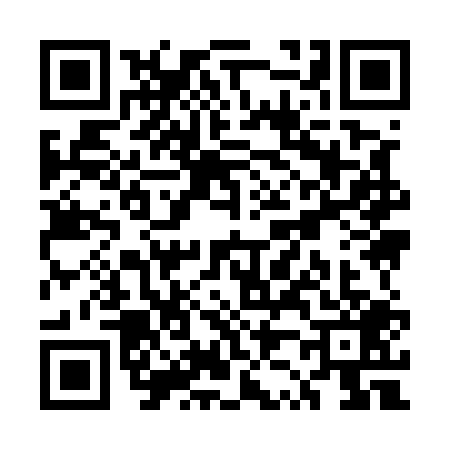 QR code for UZ95091