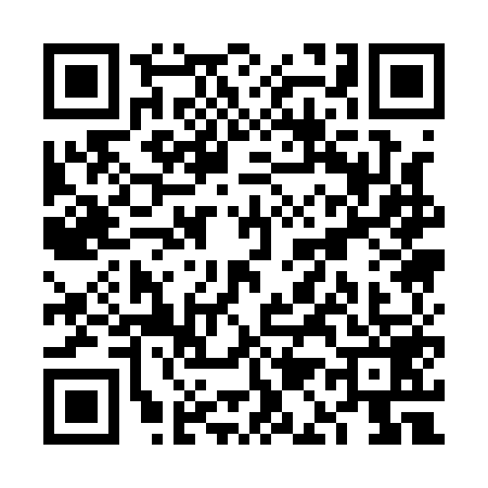 QR code for VA11595
