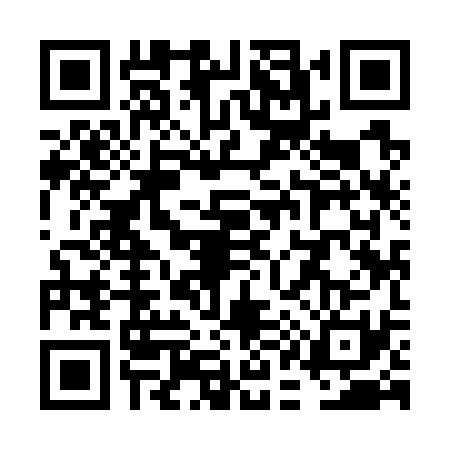 QR code for VA97317
