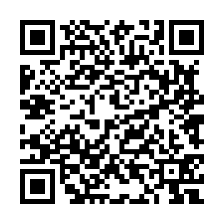 QR code for VD48317