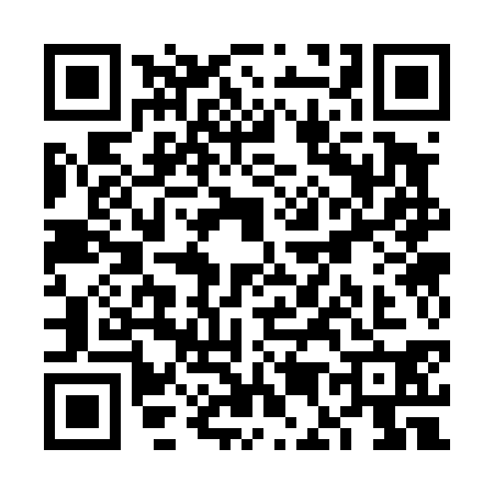 QR code for VE34307