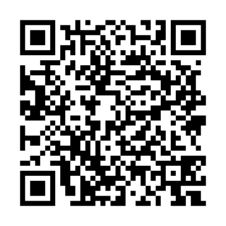 QR code for VG95386