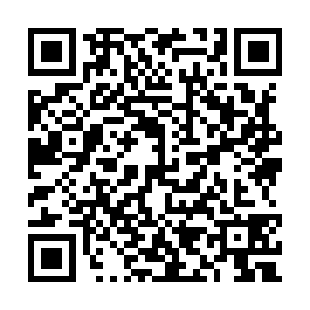 QR code for VI99383