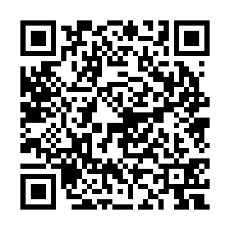QR code for VJ02317