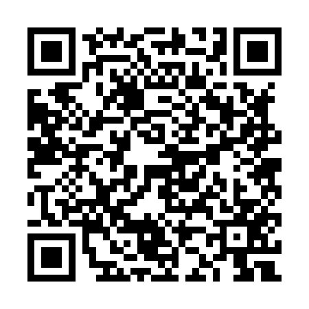 QR code for VJ28579
