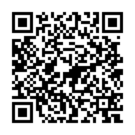 QR code for VJ30219