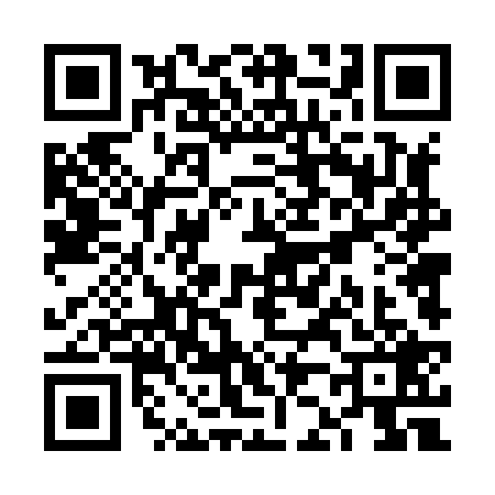 QR code for VJ48295