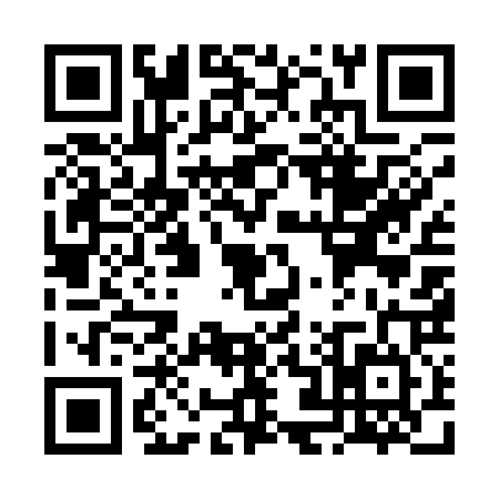 QR code for VJ51243