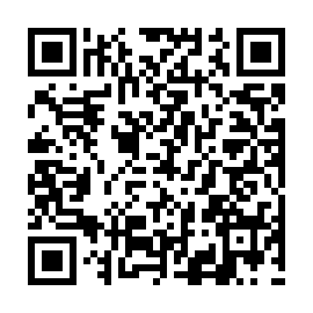 QR code for VK17384