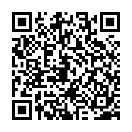 QR code for VL18376
