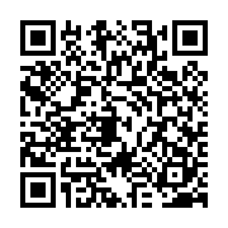 QR code for VL30228