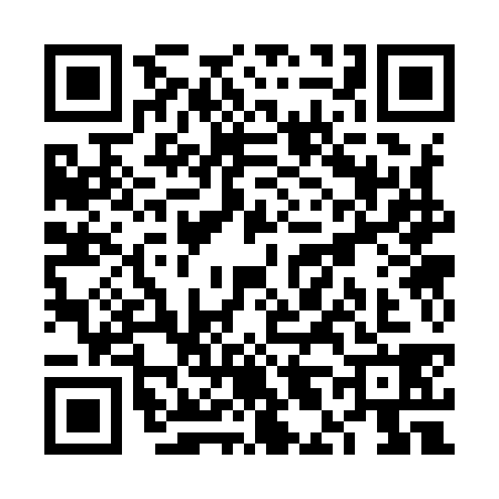 QR code for VL39384