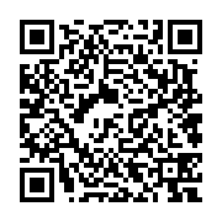 QR code for VL64385