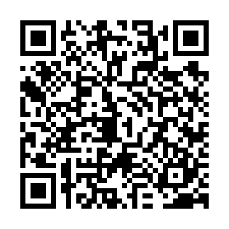 QR code for VL66273
