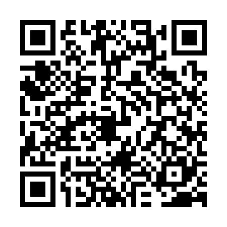 QR code for VL93250