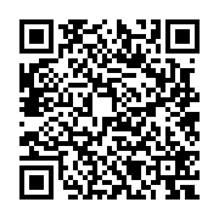 QR code for VM20295