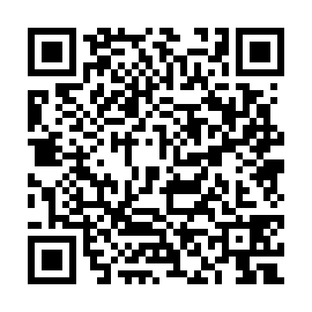 QR code for VN07387