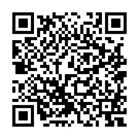QR code for VN11810