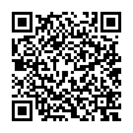 QR code for VN25294