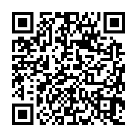 QR code for VN33808