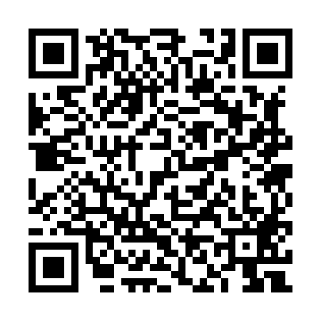 QR code for VN38891