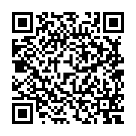 QR code for VN38952