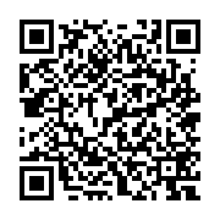QR code for VN53595