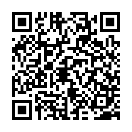 QR code for VN53828