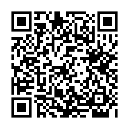 QR code for VN53938