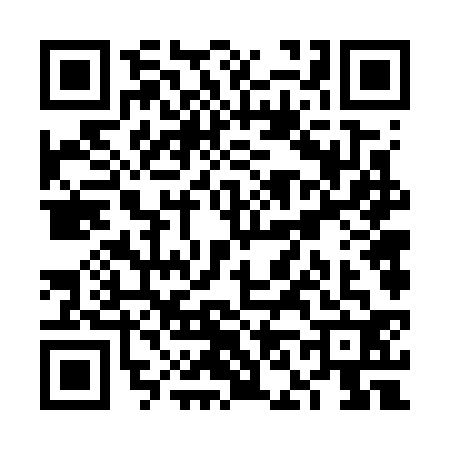 QR code for VN67325