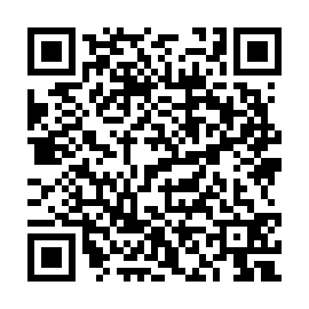 QR code for VN96329