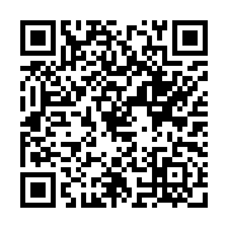 QR code for VO29919