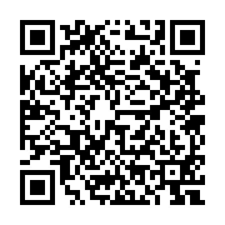 QR code for VO30919