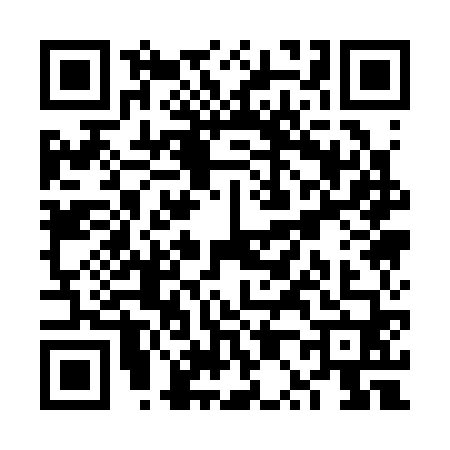 QR code for VP13606
