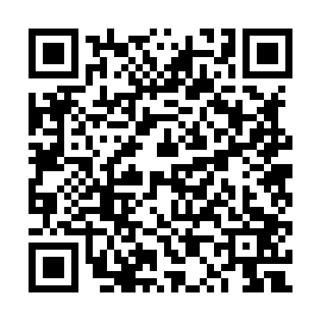 QR code for VP28038