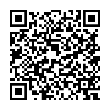 QR code for VP38528