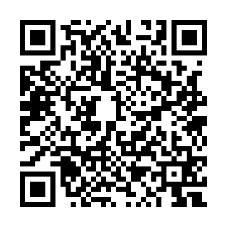 QR code for VQ31611