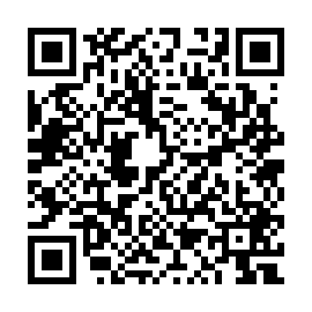 QR code for VQ33497
