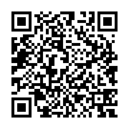 QR code for VQ42384