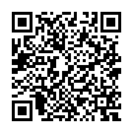 QR code for VQ95551