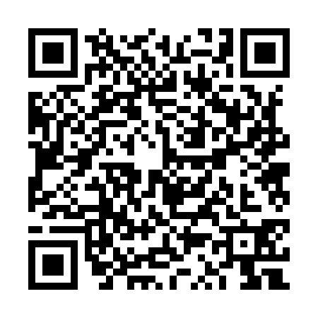 QR code for VS29306