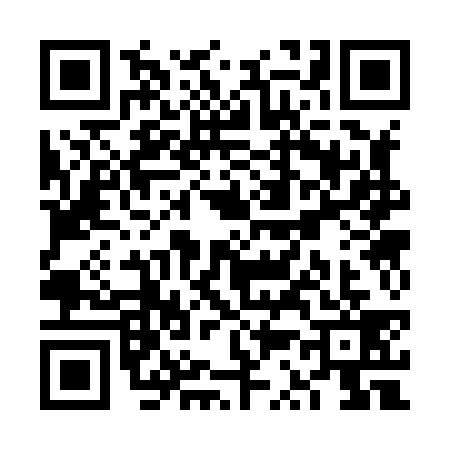 QR code for VS38394