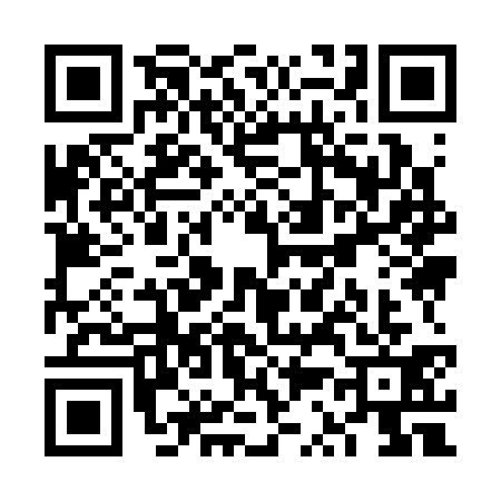 QR code for VS93317