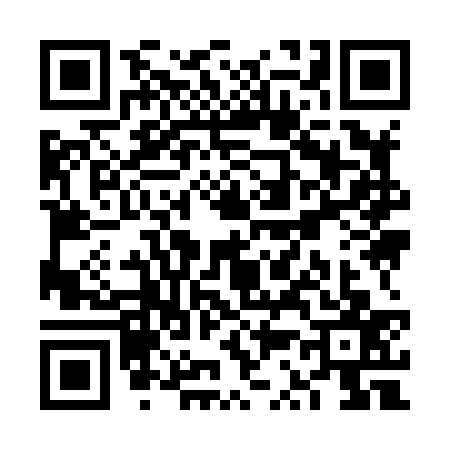 QR code for VS98373
